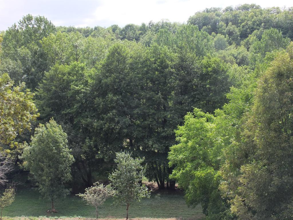 Gite Et Chambres D'Hotes - Sur Le Chemin Des Sens Azerat Rom bilde